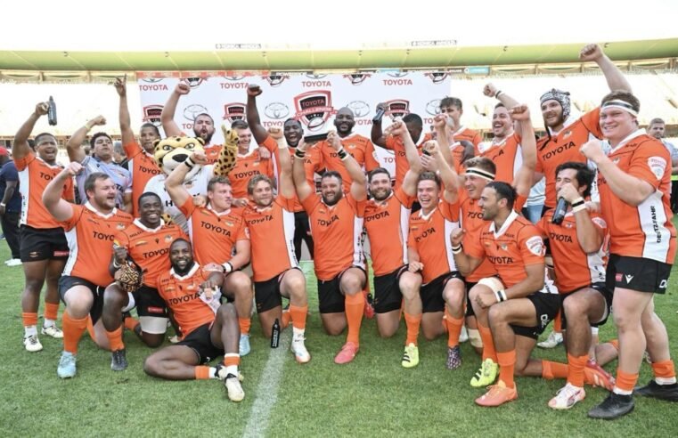 Cheetahs, Lions set for Euro challenge