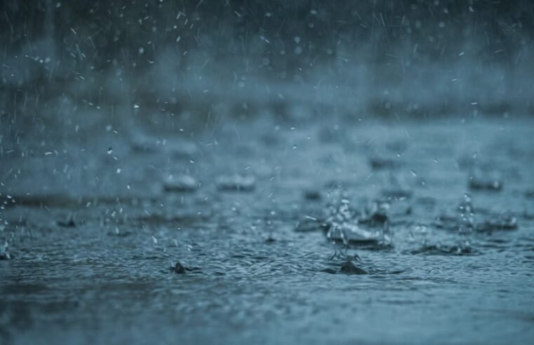Level 4 and 2 weather warnings issued across SA – SABC News