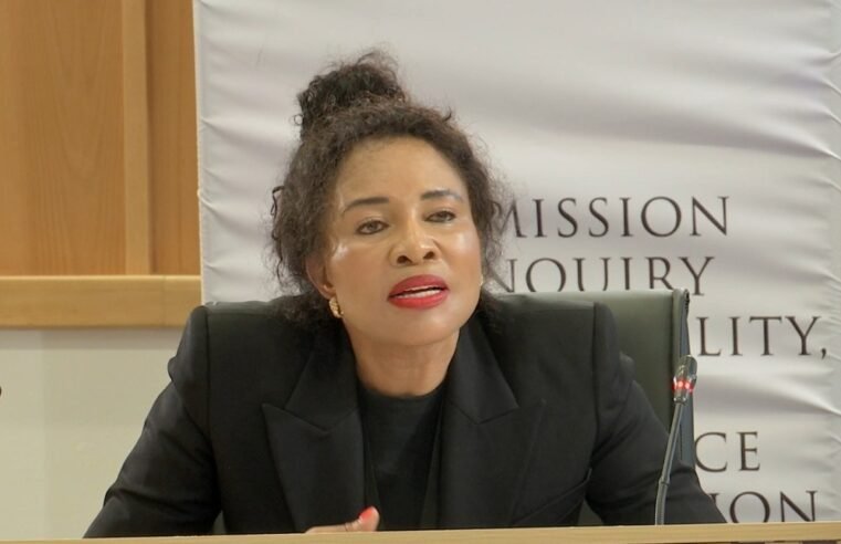 Internal audit report cleared Mkhwanazi of blue light sage involvement: Mashazi