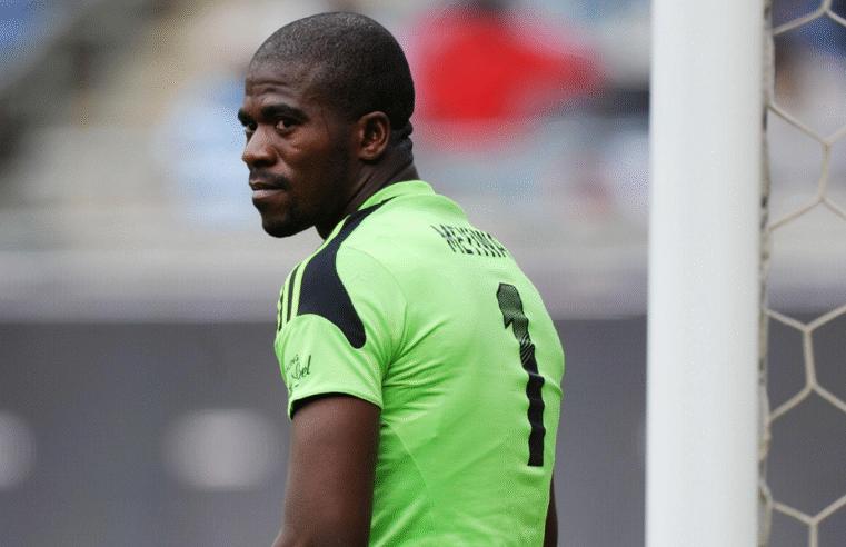 Court to hear arguments on admissibility of Zungu’s statement in Meyiwa trial